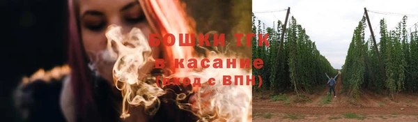 соль ск Горно-Алтайск