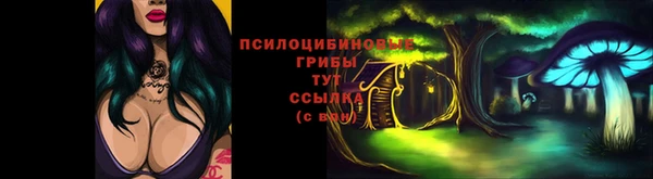 соль ск Горно-Алтайск